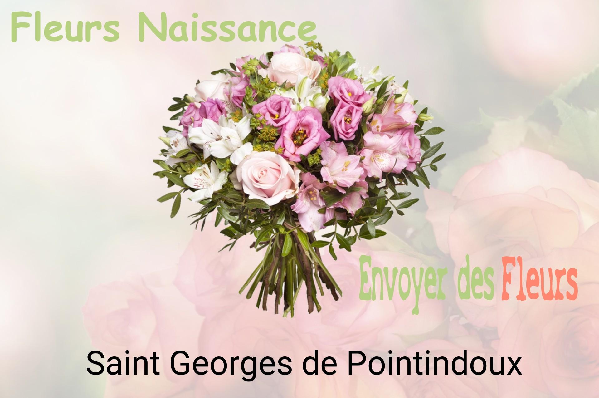 Bouquet de fleurs de naissance livré à Saint-Georges-de-Pointindoux